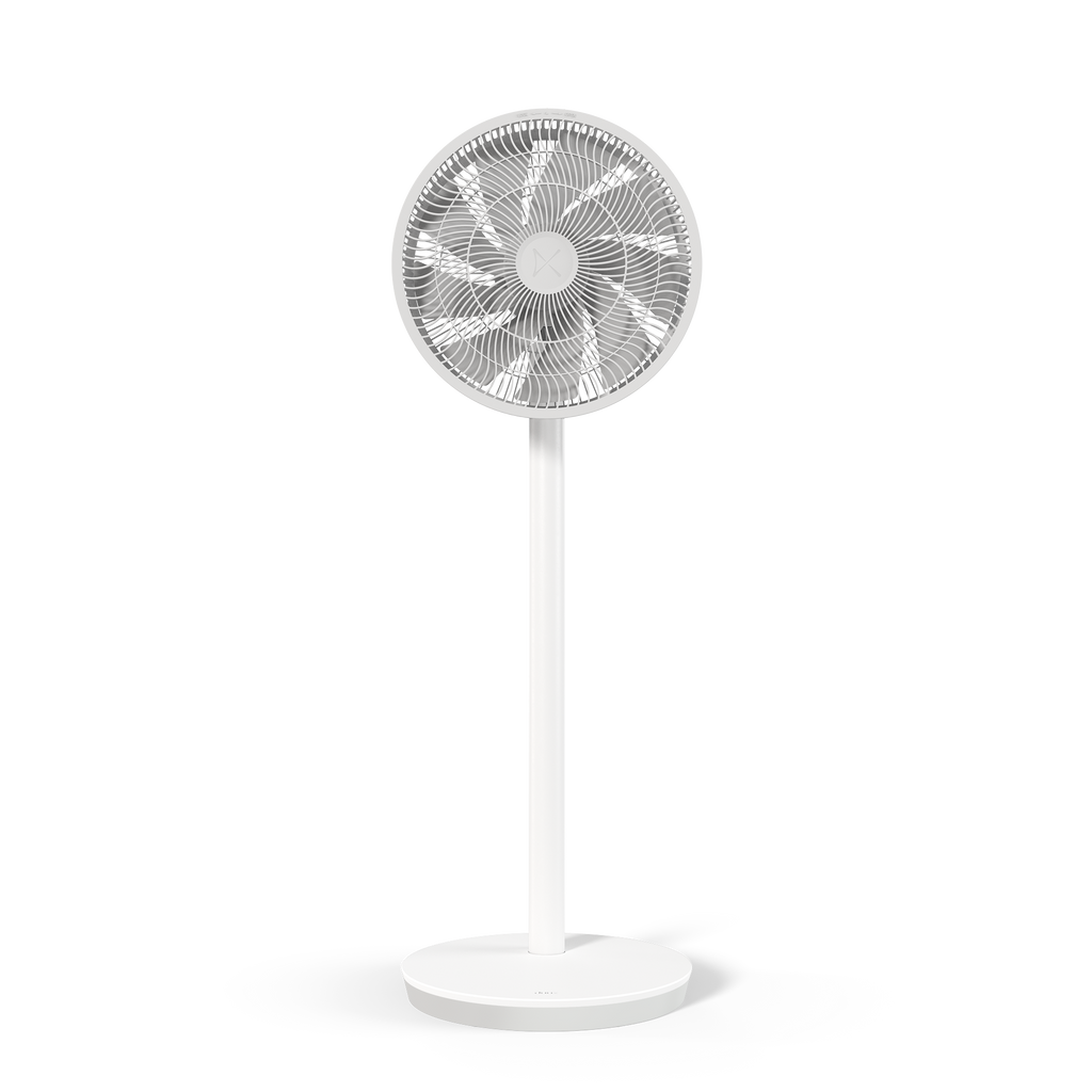 Ventilateur Silencieux Duux Whisper Essence avec Oscillation 120°